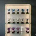 Vitrina de cristal iluminada con tres baldas de trofeos de copa, azules arriba, plateados en medio y morados abajo, con un hueco libre. Imagen generada con IA.